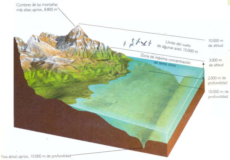 la biosfera