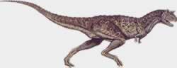 Carnotaurus Sastrei