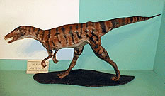 Eoraptor Lunensis