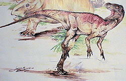 Eoraptor Lunensis