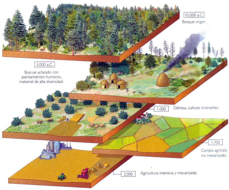 La transformación humana del paisaje