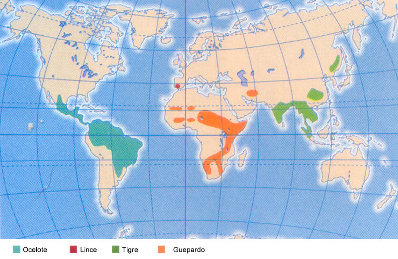 mapa de los 