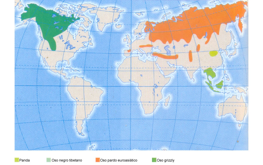 Ubicacion de los osos mas amenazados de extincion