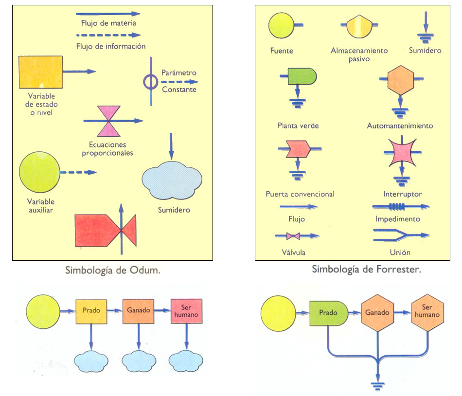  Aplicación de los diagramas de Odum y Forrester de un sistema sencillo. El sistema está formado por una variable externa que aporta energía a un prado que es capaz de elaborar su propio alimento a partir de sustancias químicas mediante la fotosíntes