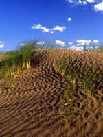 Medanos Grandes