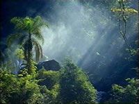 Parque Nacional Iguazú