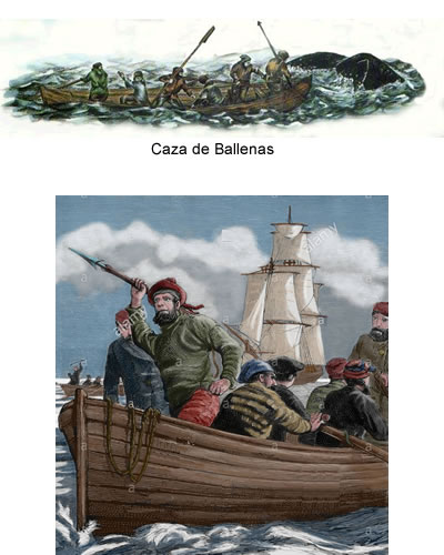 Cacería de ballenas