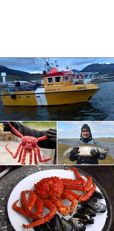 Pesca en tierra del fuego