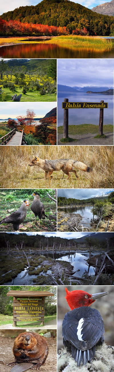 Parque Nacional Tierra del Fuego