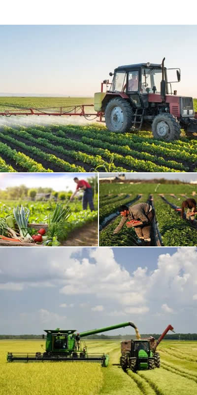 agricultura en la provincia de Buenos Aires