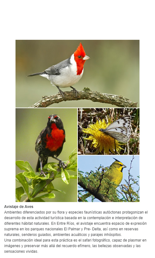 Avistaje de Aves Ambientes diferenciados por su flora y especies faunísticas autóctonas protagonizan el desarrollo de esta actividad turística basada en la contemplación e interpretación de diferentes hábitat naturales. En Entre Ríos, el avistaje e