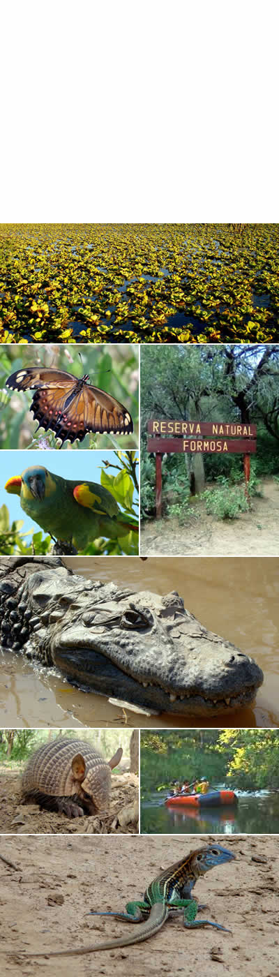 reserva nacional formosa