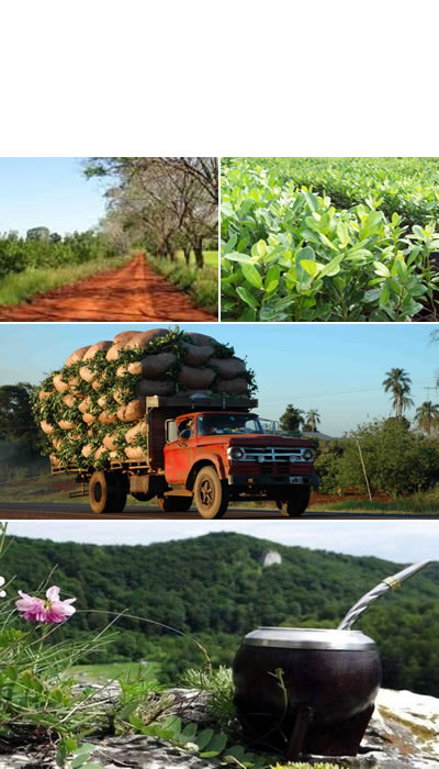 la ruta de la yerba mate