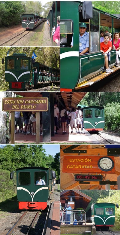 Tren Ecológico de la Selva