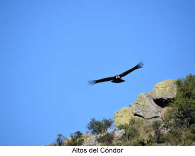 Altos del Cóndor , turismo de San Luis