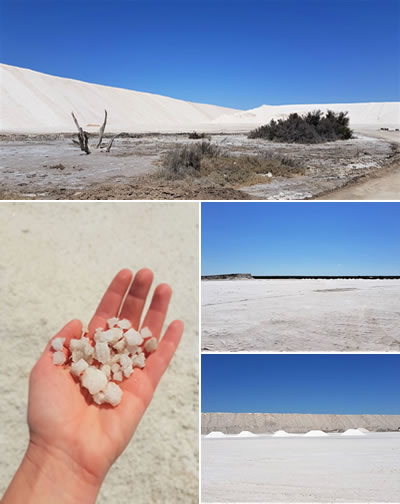 Salinas de Bebedero