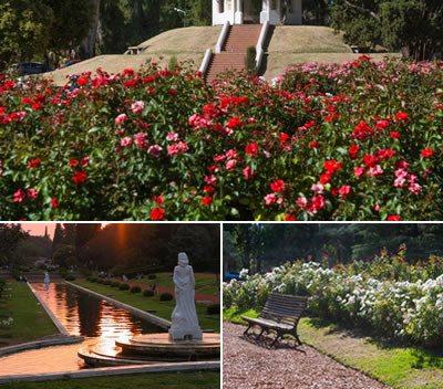 rosedal del parque independencia , turismo en rosario