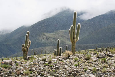 Abra del Infiernillo